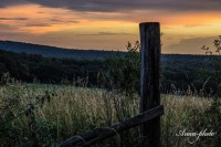 /album/fotogaleria/img-2590-masolata-jpg/